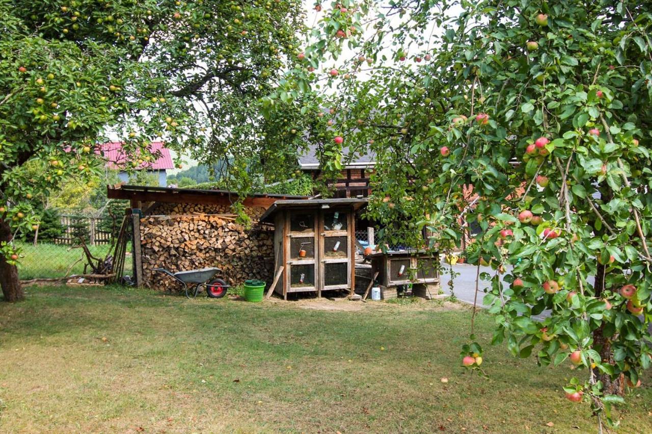 Haus Sonnenwalde - Familie Ruhe Hotel Rohrbach  Buitenkant foto